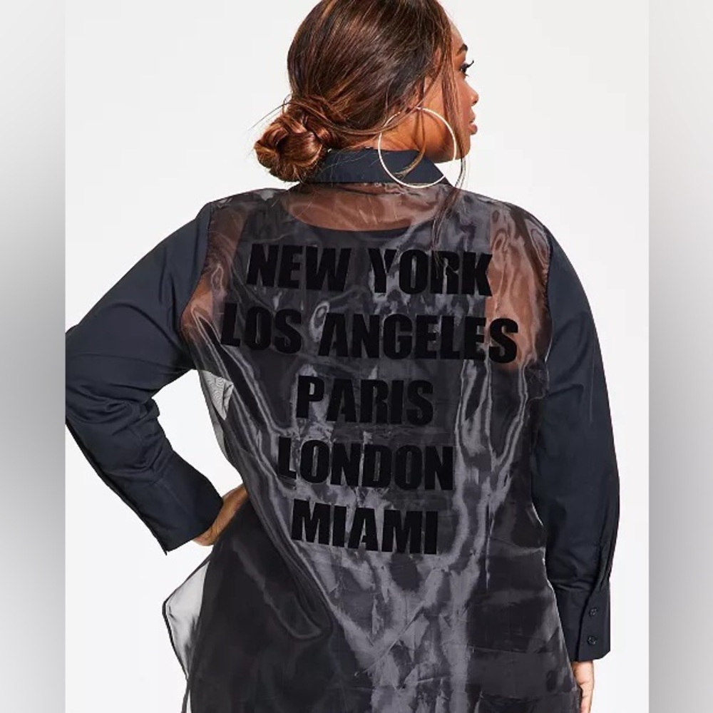 Plus Size Organza Blouse - Picture 3 of 3